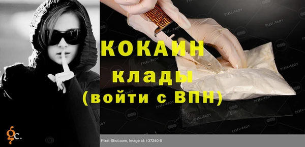 хмурый Ветлуга