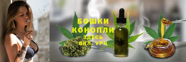 крисы Покачи