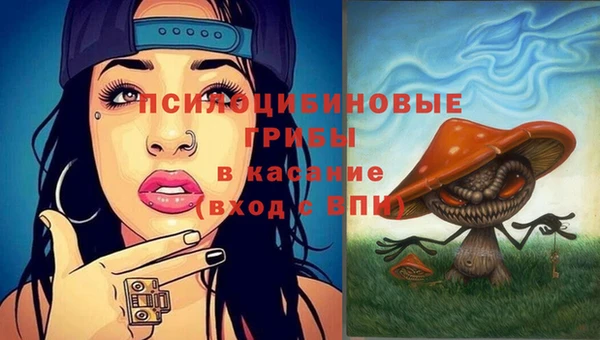 прущие крисы Покров