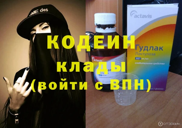 крисы Покачи