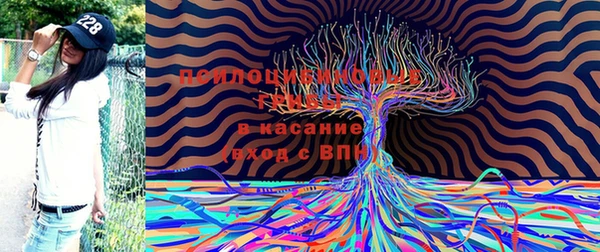 прущие крисы Покров