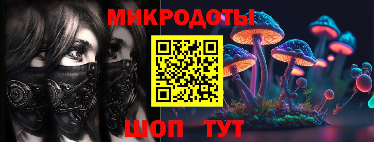 Псилоцибиновые грибы мухоморы Алексин