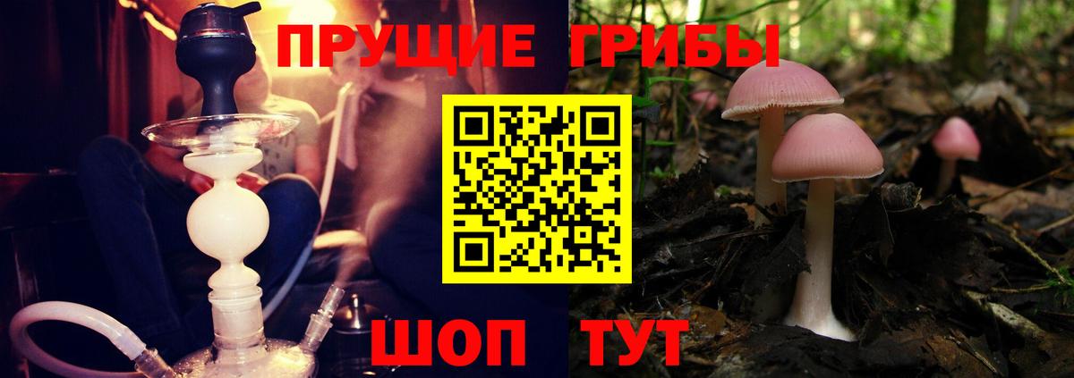 Галлюциногенные грибы Psilocybine cubensis  Вход с VPN  Алексин  закладки  Галлюциногенные грибы MAGIC MUSHROOMS 