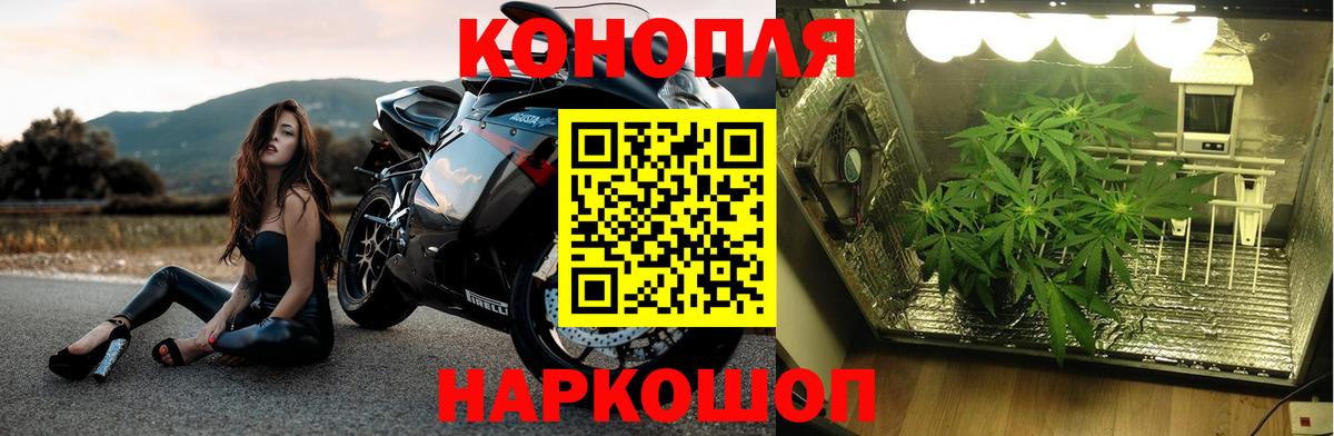 Алексин  Бошки марихуана VHQ  Марихуана индика  Канабис Ganja  Каннабис тримм  Вход с VPN 